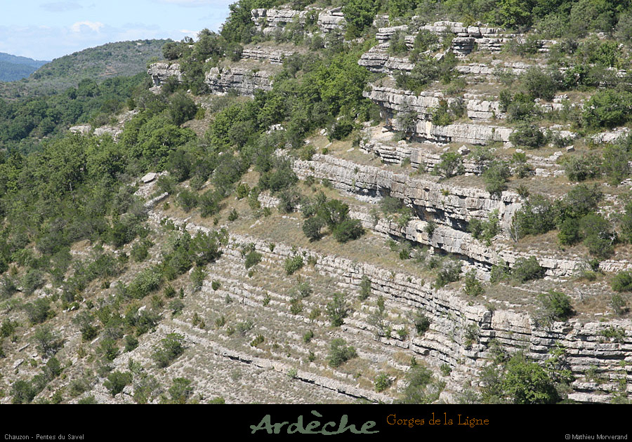 20090718_valleeligne_savel2