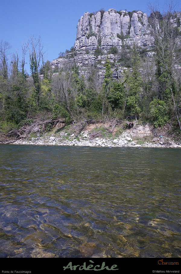 20100410_ptefaussimagnederg