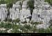 20090718_faussimagnefalaises1
