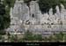 20090718_faussimagnefalaises2