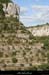 20090718_faussimagnepte08