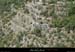 20090718_valleeligne_savel1