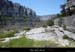 20100410_pointedugrazelparam4