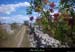 20110809_chauzon_grassslerancdeguilhaumet_sentier2
