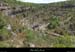 20190511_vgournier08