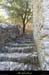 20120622_grospierres_ruinesvillagechastelas07