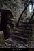 20140119_gropierres_lechastelas5