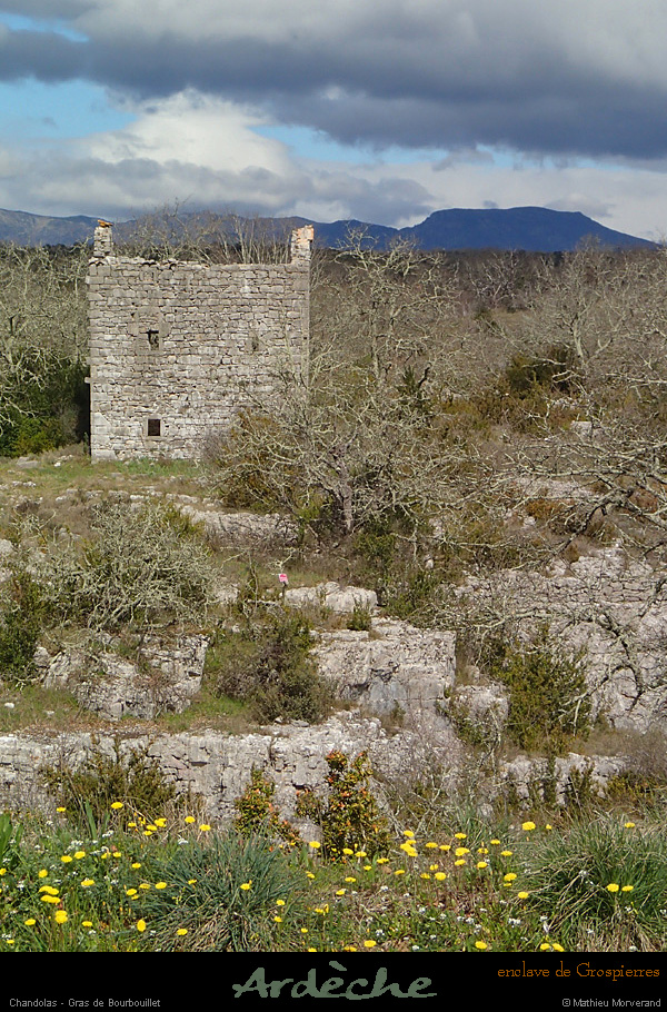 20150328_enclavegrospierres_gras1