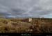 20150226_grospierres_grasbourbouillet