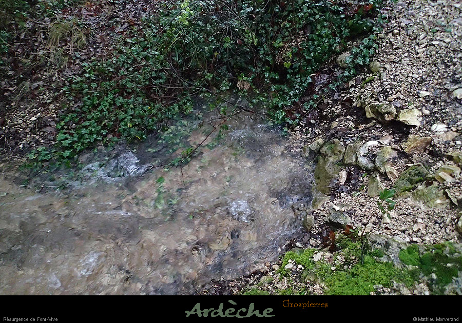 20140119_fontviveresurg_15h49
