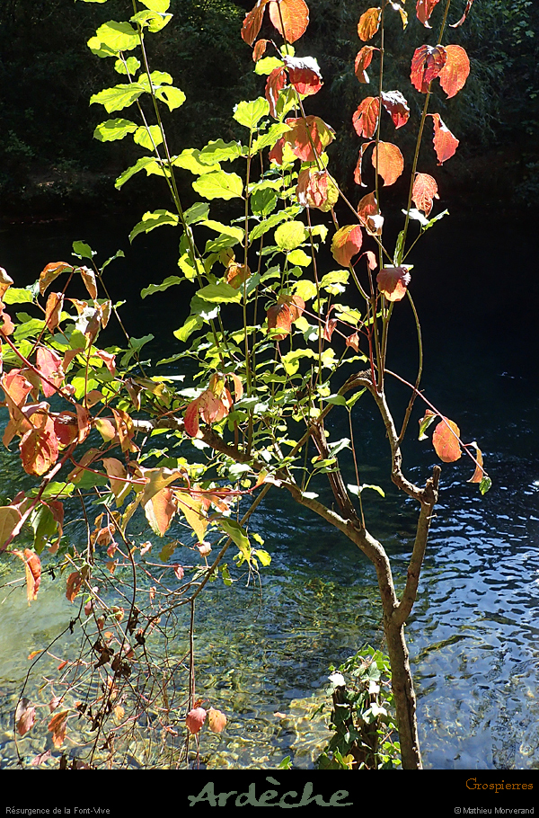 20170924_223
