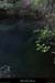 20130922_grospierres_fontvive07