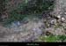 20140119_fontviveresurg_15h49