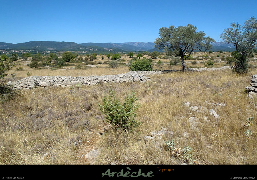 20120817_joyeuse_plainedemures1