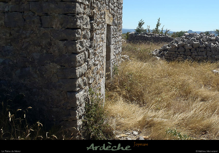 20120817_joyeuse_plainedemures2
