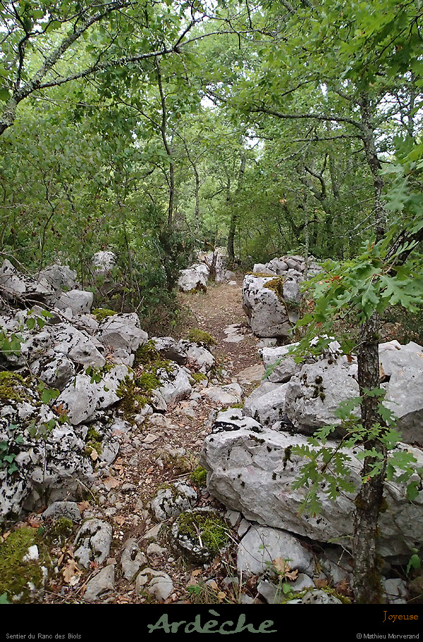 20150823_059