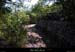 20100829_joyeuse_rancdesbiols