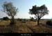 20120908_joyeuse_plainedemures1