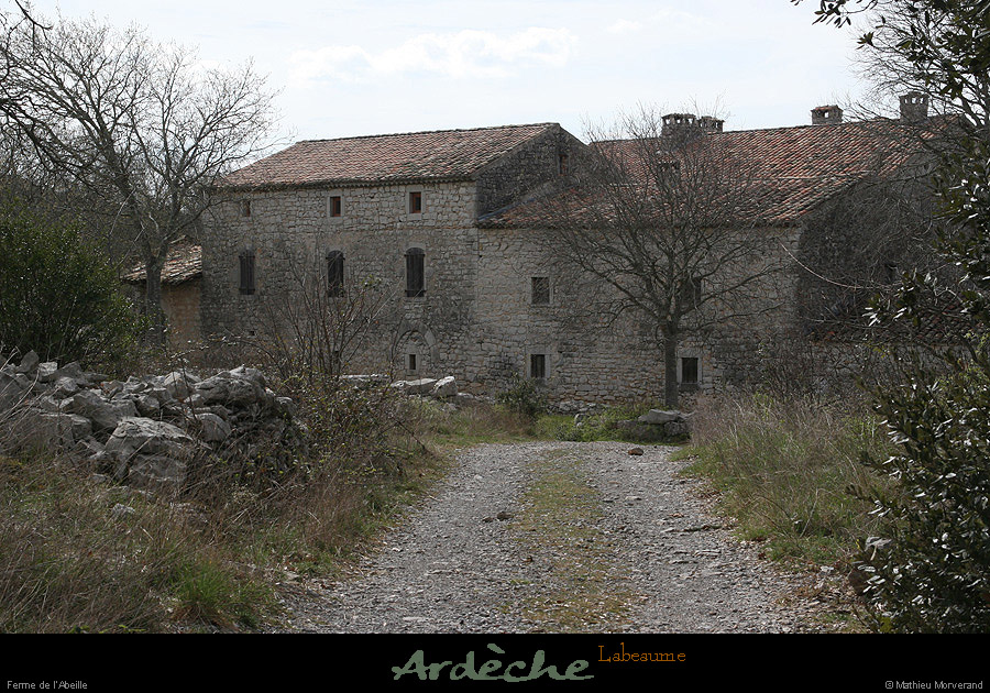 20090329_labeaume_labeille1