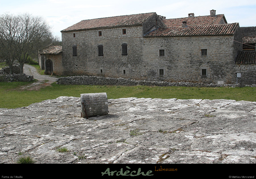 20090329_labeaume_labeille2