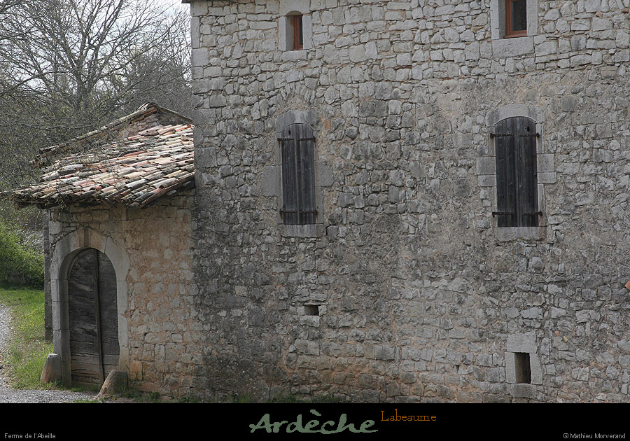 20090329_labeaume_labeille3