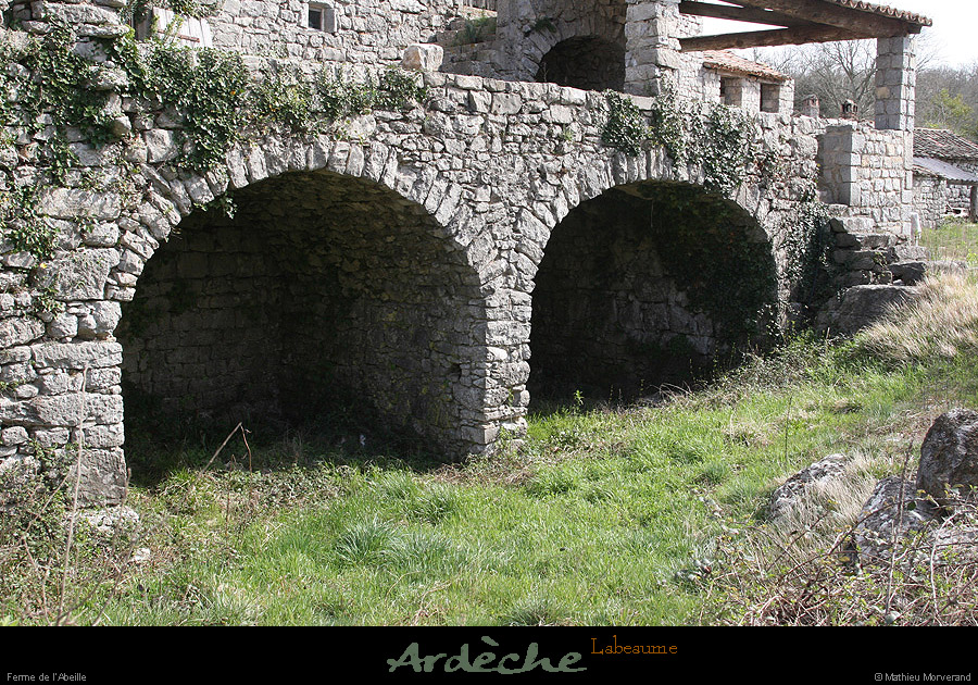 20090329_labeaume_labeille5