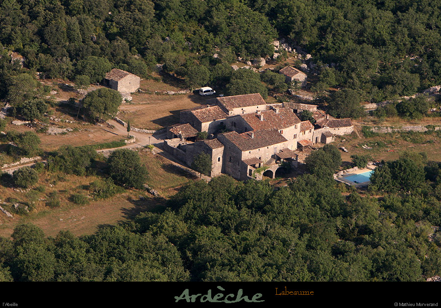 20100711_labeaume_abeille_01