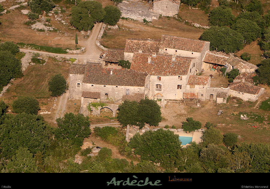 20100711_labeaume_abeille_05