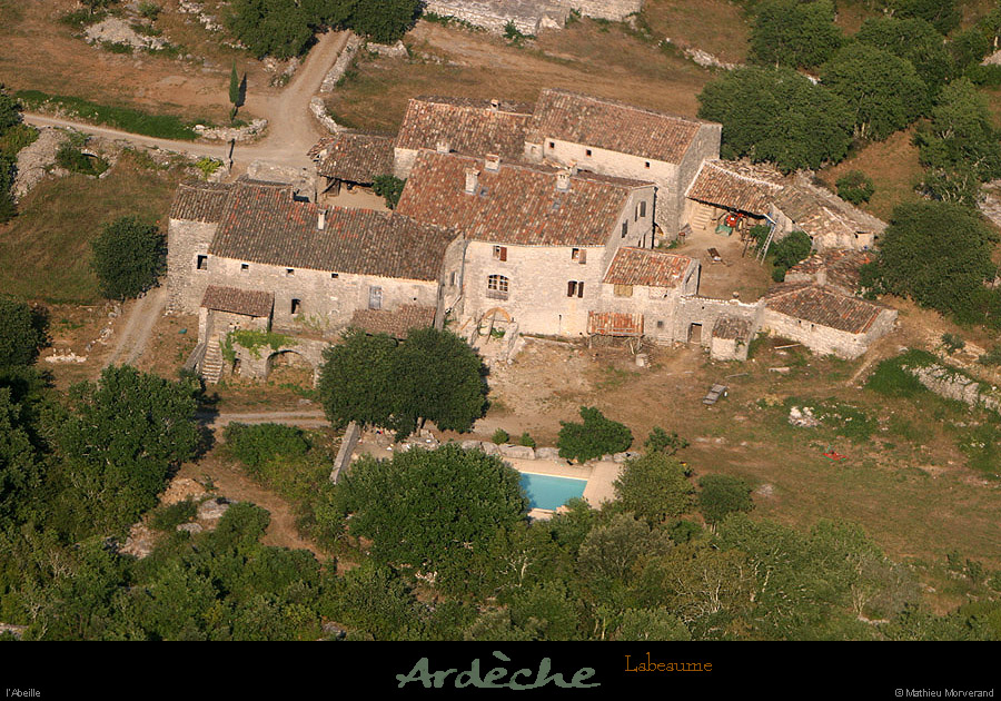 20100711_labeaume_abeille_07