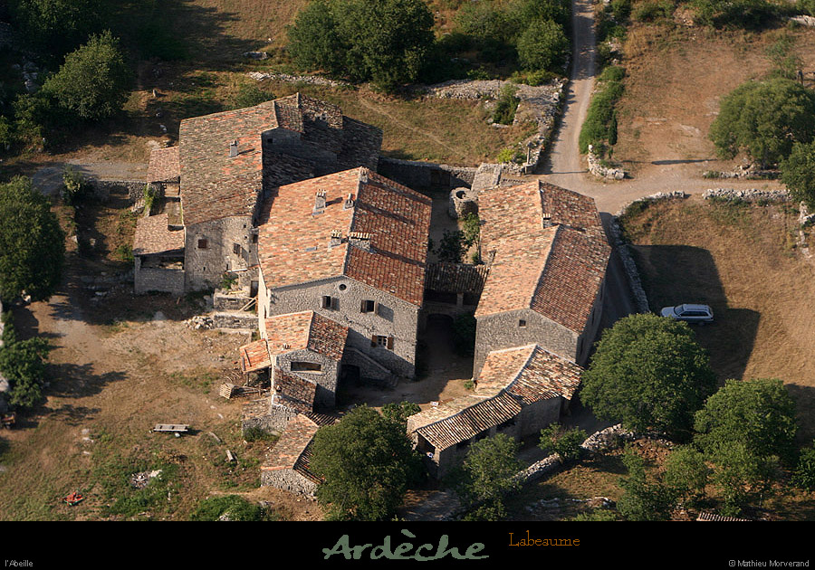 20100711_labeaume_abeille_09