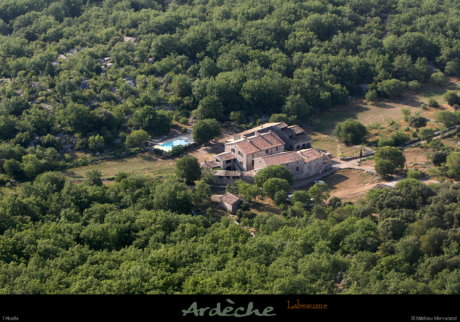 20100711_labeaume_abeille_12