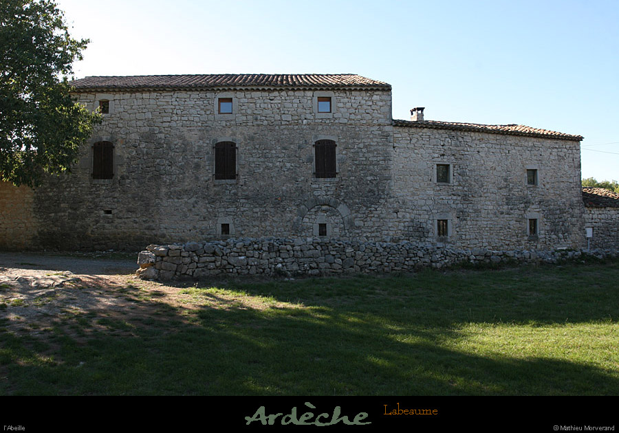 20100919_labeaume_abeille1