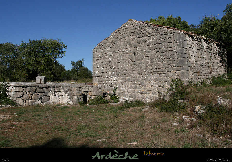 20100919_labeaume_abeille2