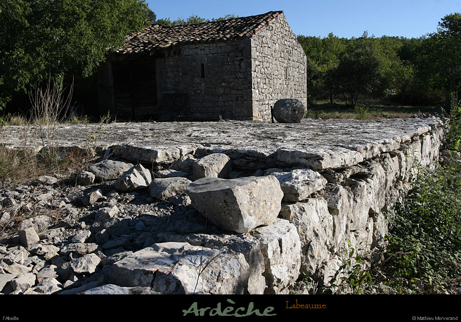 20100919_labeaume_abeille3