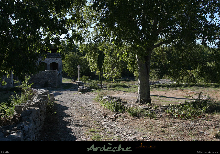 20100919_labeaume_abeille4