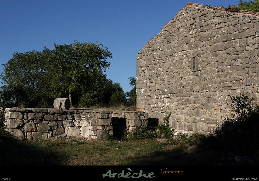 20100919_labeaume_abeille5