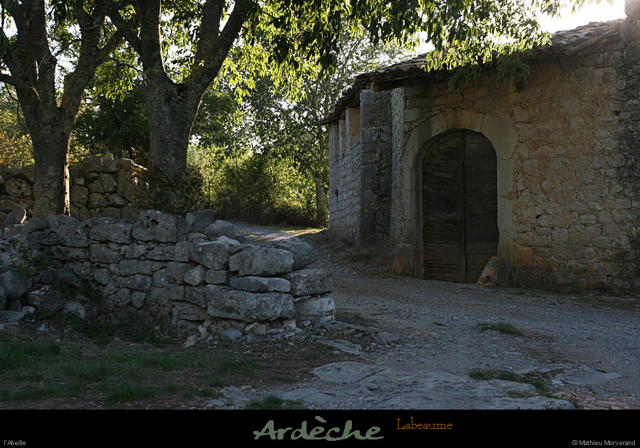 20100919_labeaume_abeille6