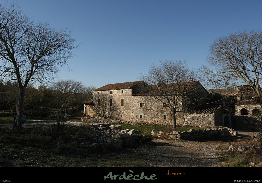 20101204_labeaume_abeille2