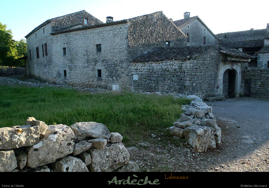 20130510_labeaume_abeille1