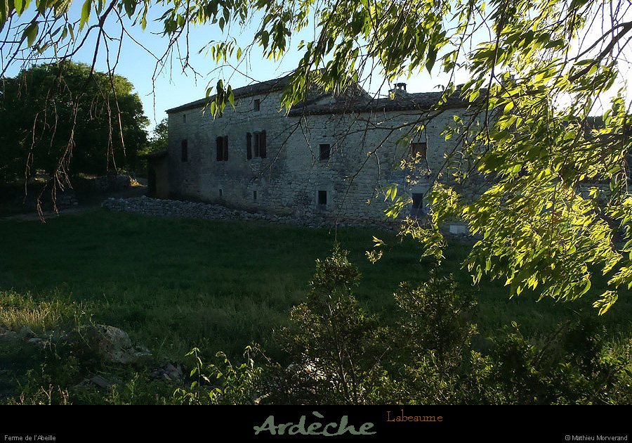 20130510_labeaume_abeille2