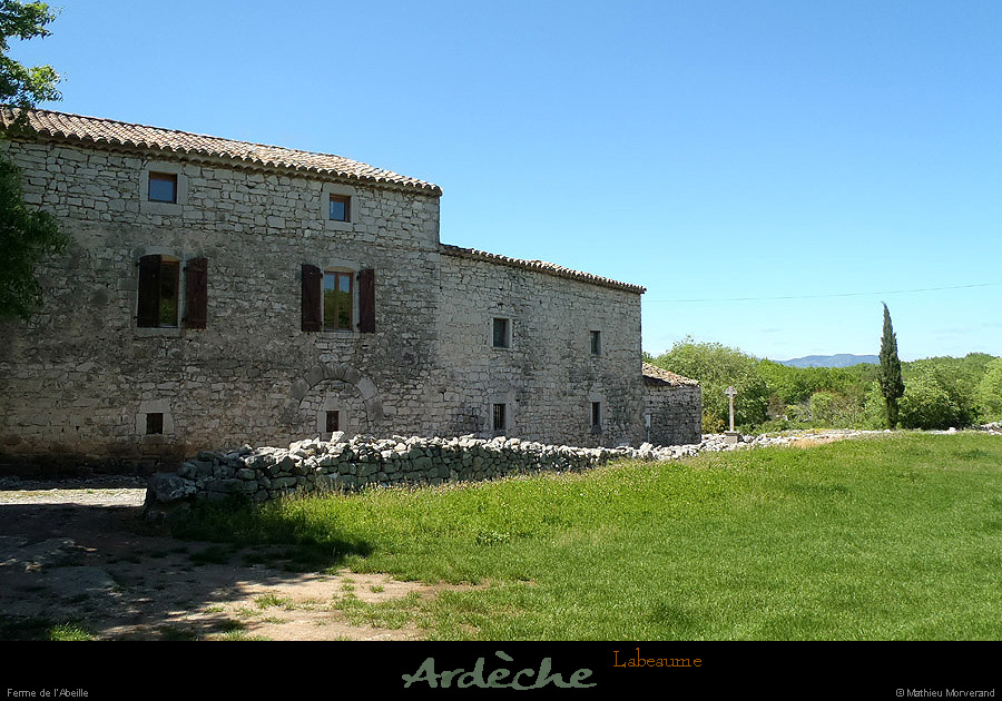 20130510_labeaume_abeille3