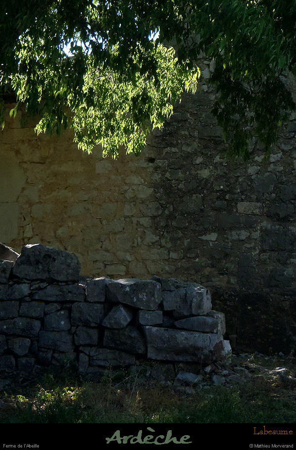 20130510_labeaume_abeille5