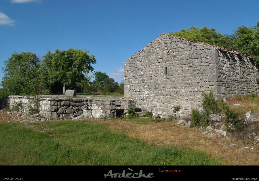 20130510_labeaume_abeille_dependances01