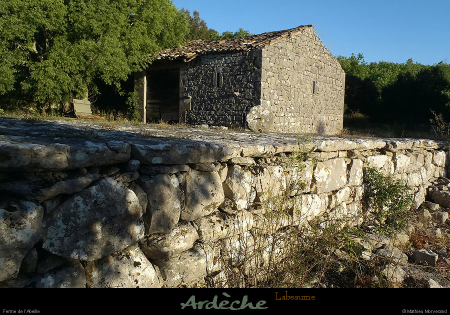 20130510_labeaume_abeille_dependances02