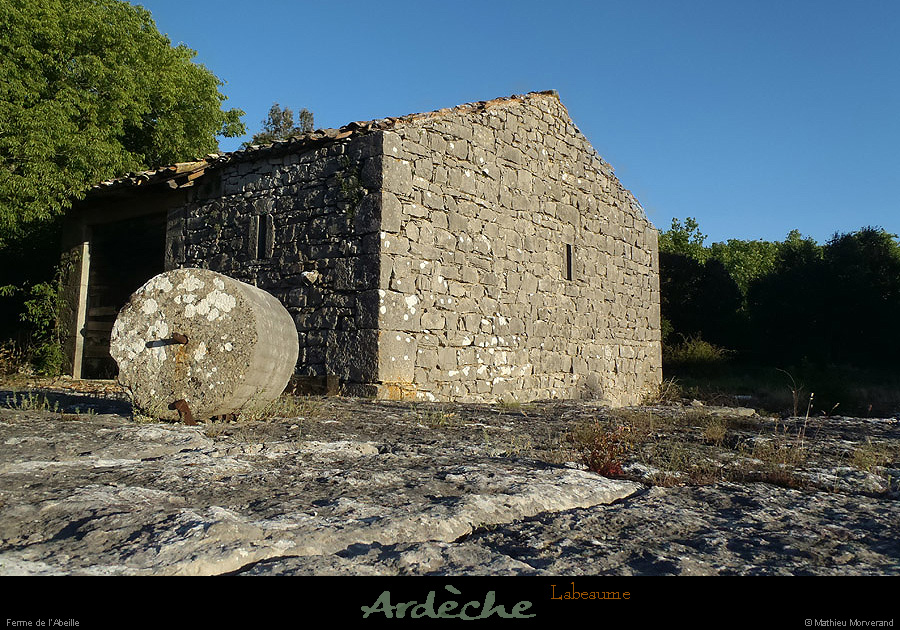 20130510_labeaume_abeille_dependances04
