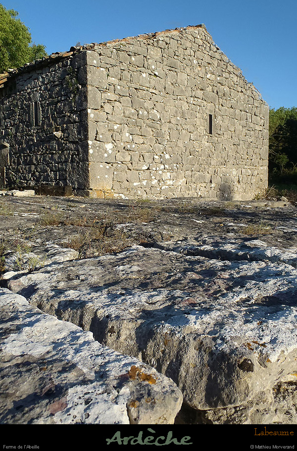 20130510_labeaume_abeille_dependances07