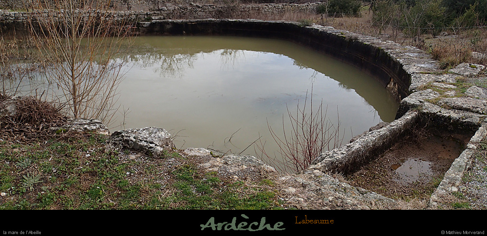 20140216_labeaume_maredelabeille1