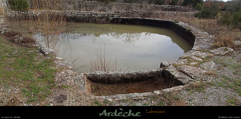 20140216_labeaume_maredelabeille2