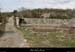 20090329_labeaume_labeille_plandeau