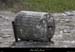 20090329_labeaume_labeillemeule